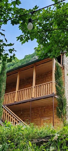 Forest Guest House